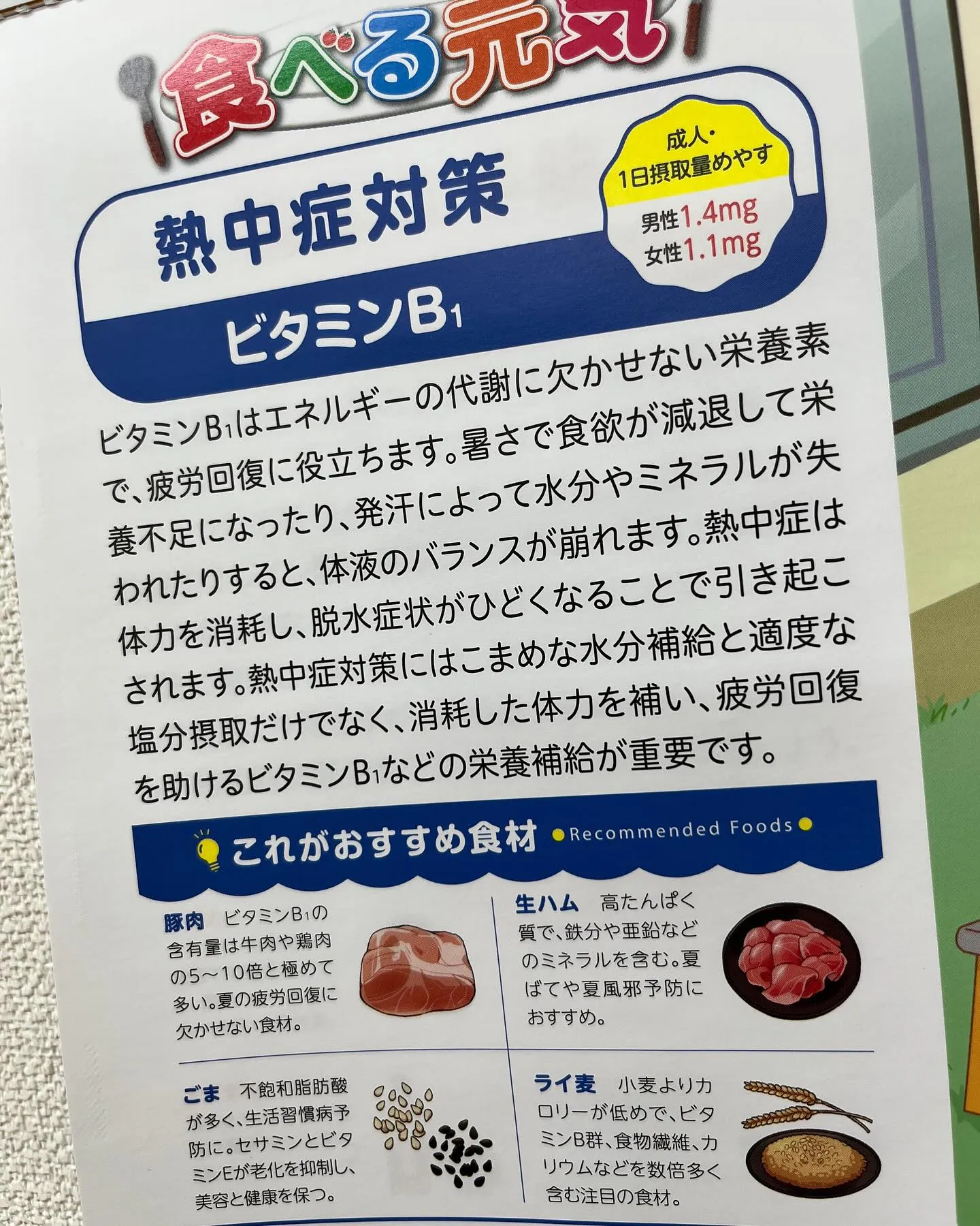 熱中症対策にはビタミンB1  らしいです。