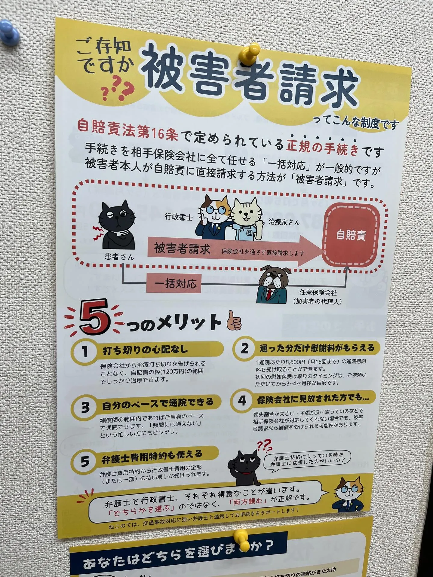 🚲🚗交通事故治療・交通事故関連に強い院です🚗🚲